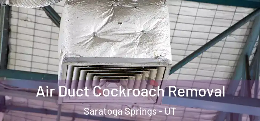 Air Duct Cockroach Removal Saratoga Springs - UT