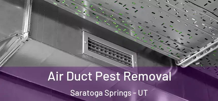  Air Duct Pest Removal Saratoga Springs - UT
