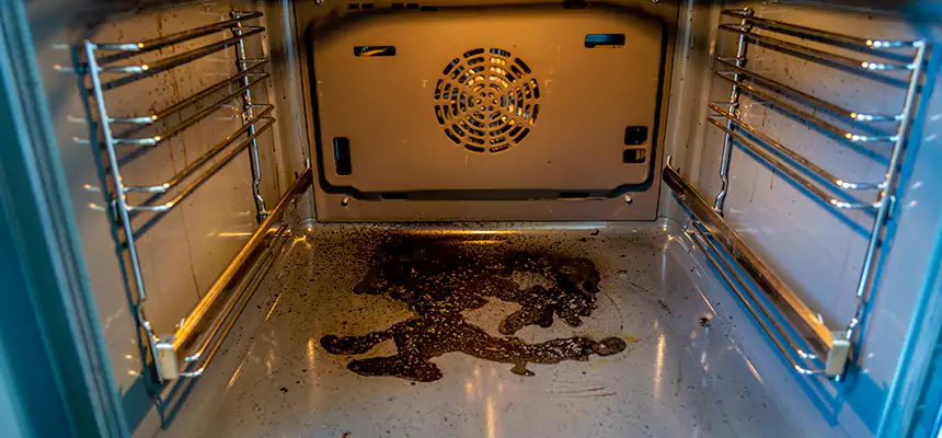 Our Dryer Vent Mold Cleaning Services in Saratoga Springs, UT