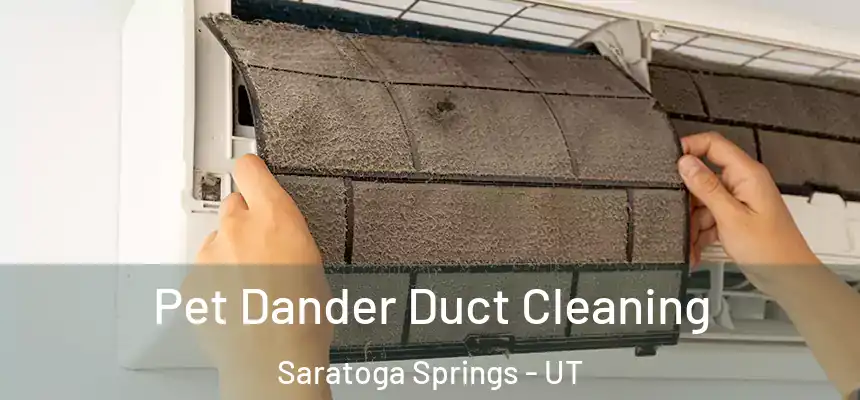  Pet Dander Duct Cleaning Saratoga Springs - UT