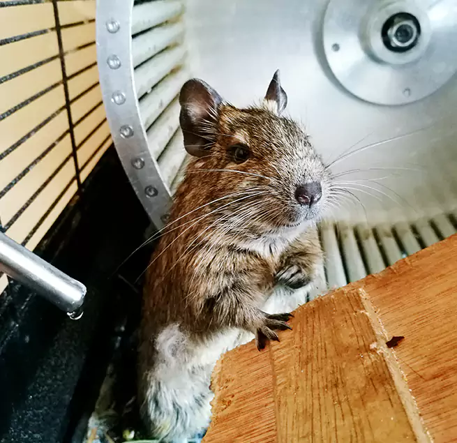 Why Homeowners & Businesses Trust Us Saratoga Springs, UT?